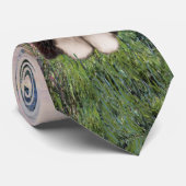 ひげ付きコリー – バイザセーヌ ネクタイ (ロール)