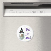 ひげ付きコリー マグネット (インサイチュ (食洗機))