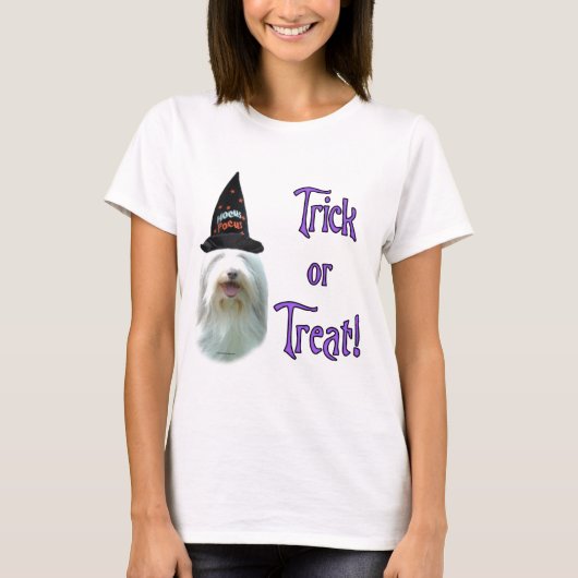 ひげ付きコリー Tシャツ (正面)