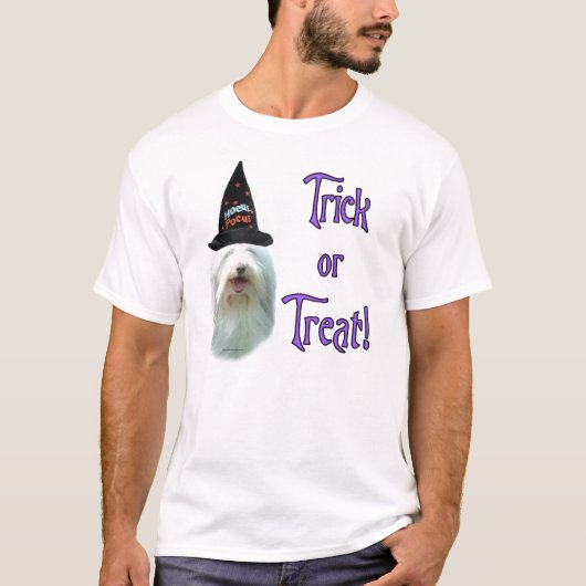 ひげ付きコリー Tシャツ (正面)