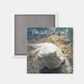 ひげ付きドラゴンマグネット マグネット (正面/裏面)