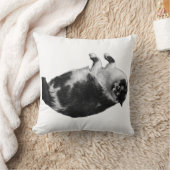 ひげ撚り猫枕 クッション (ブランケット)