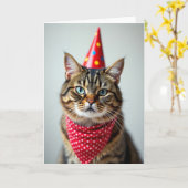 ひげ猫の誕生日カード カード (黄色い花)