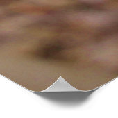 ひげ玉竜2 ポスター (角)