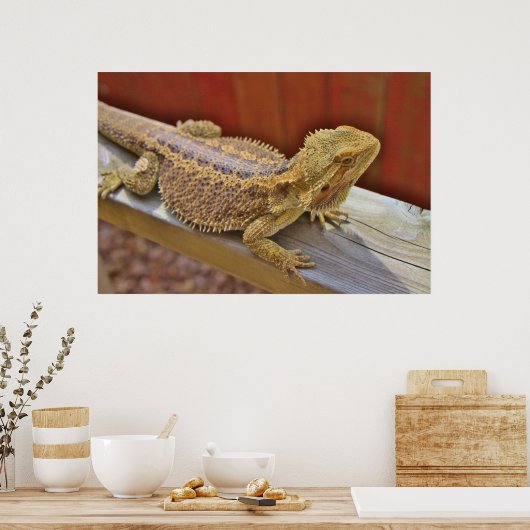 ひげ玉竜2 ポスター (キッチン)