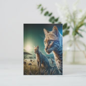 ひげ疑問に思ひげ:日に照らされた牧草地の猫のカエル ポストカード (スタンド正面)