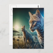 ひげ疑問に思ひげ:日に照らされた牧草地の猫のカエル ポストカード (正面/裏面)