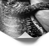 ひげ竜の写真のポスター フォトプリント            (角)