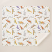 ひげ竜の散布図（透明） シェルパブランケット (正面(横))