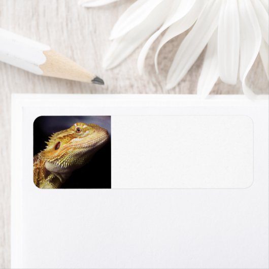 ひげ竜の頭2 ラベル (インサイチュ)