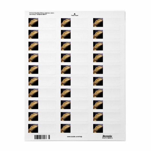 ひげ竜の頭2 ラベル (フルシート)