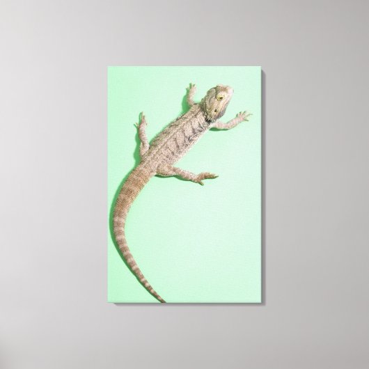 ひげ竜2 キャンバスプリント (正面)