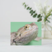 ひげ竜2 ポストカード (スタンド正面)