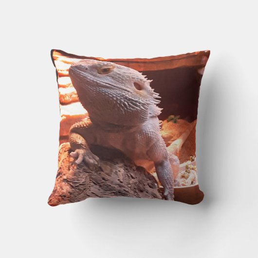 ひげ竜 クッション (裏面)