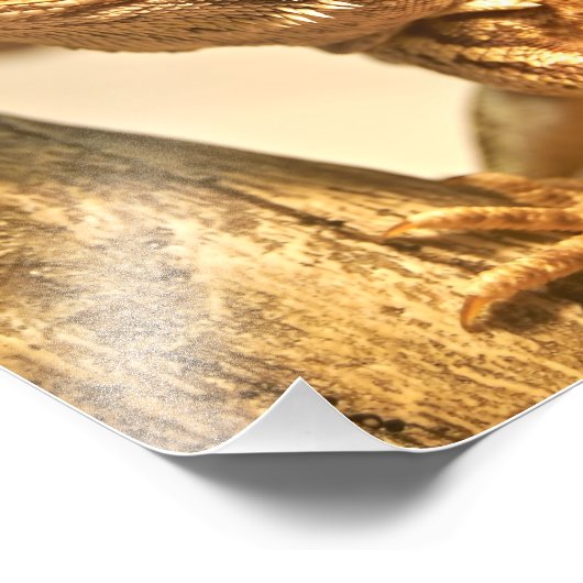 ひげ竜 フォトプリント            (角)