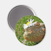 ひげ竜 マグネット (正面/裏面)