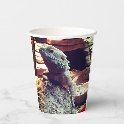 ひげ竜 紙コップ (裏面)