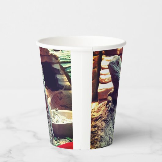 ひげ竜 紙コップ (右)