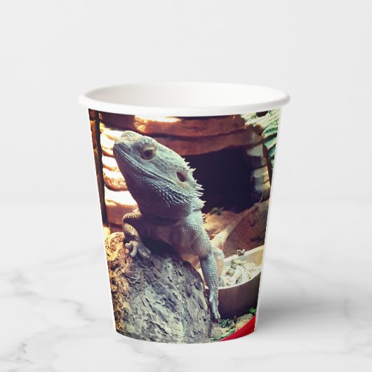 ひげ竜 紙コップ (正面)