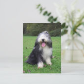 ひげ筋 ポストカード (スタンド正面)