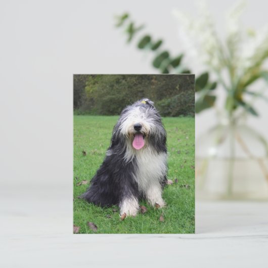 ひげ筋 ポストカード (スタンド正面)