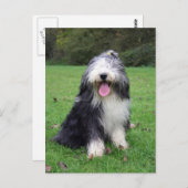 ひげ筋 ポストカード (正面/裏面)