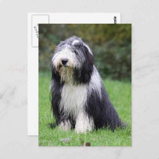 ひげ筋 ポストカード (正面/裏面)