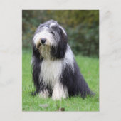 ひげ筋 ポストカード (正面)