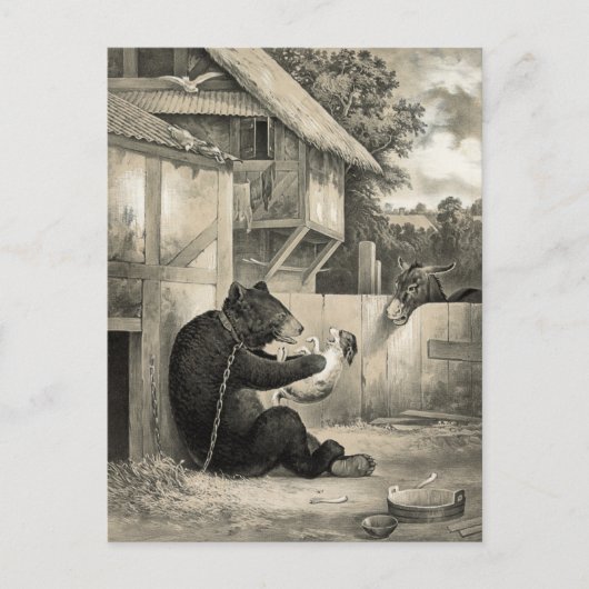 ひげ – クマ、犬とロバ ポストカード (正面)