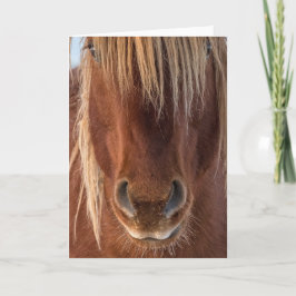 「ひげ」ノートカード カード