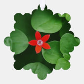 ひしきらめく形と小さな赤い花 オーナメントカード (裏面)