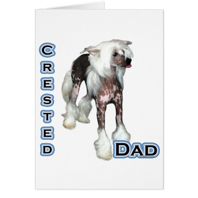 ひし中国のパパ4 (正面)