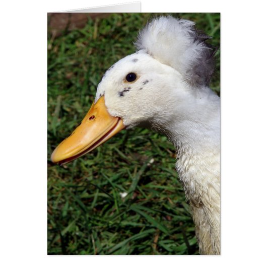 ひし打ち (正面)