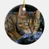 ひたすらベンガル猫 セラミックオーナメント (裏面)