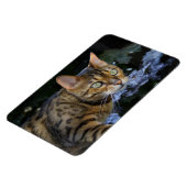 ひたすらベンガル猫 マグネット (左側)