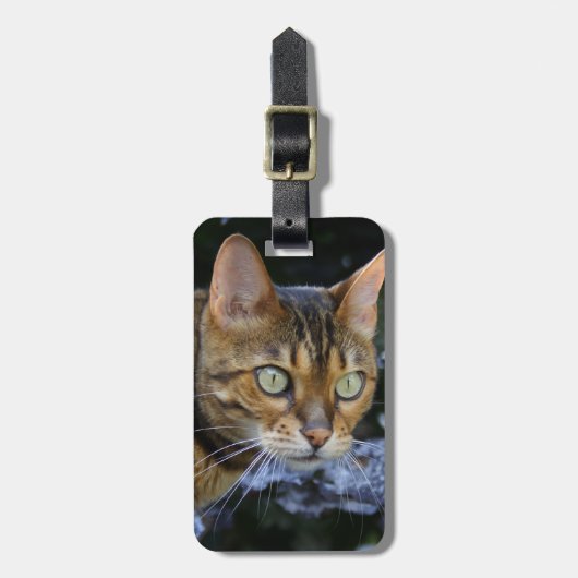 ひたすらベンガル猫 ラゲッジタグ (正面縦)