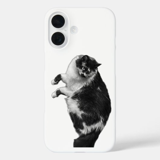 ひっくり返したウィスカー猫の電話ケース Case-Mate iPhoneケース (裏面)