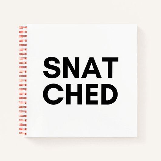ひったくった ノートブック (正面)
