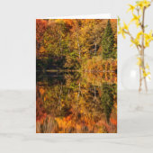 ひつぎ池への秋の反射 カード (黄色い花)