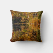 ひつぎ池への秋の反射 クッション (正面)
