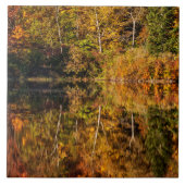 ひつぎ池への秋の反射 タイル (正面)