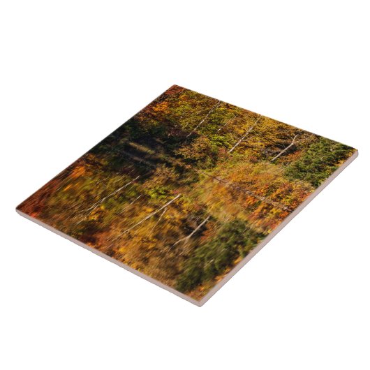 ひつぎ池への秋の反射 タイル (側面)