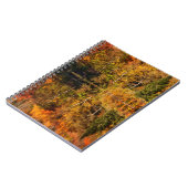 ひつぎ池への秋の反射 ノートブック (左側)