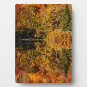 ひつぎ池への秋の反射 フォトプラーク (正面)