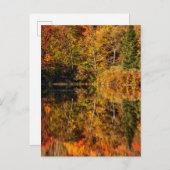 ひつぎ池への秋の反射 ポストカード (正面/裏面)