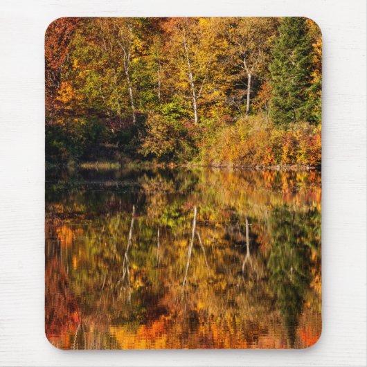 ひつぎ池への秋の反射 マウスパッド (正面)