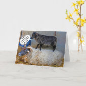 ひつじのつらい日カード カード (黄色い花)