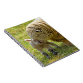 ひつじの赤ちゃん ノート (右側)