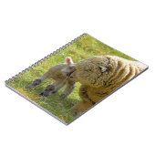 ひつじの赤ちゃん ノート (左側)