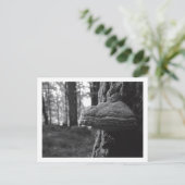 ひづめかびはがき ポストカード (スタンド正面)